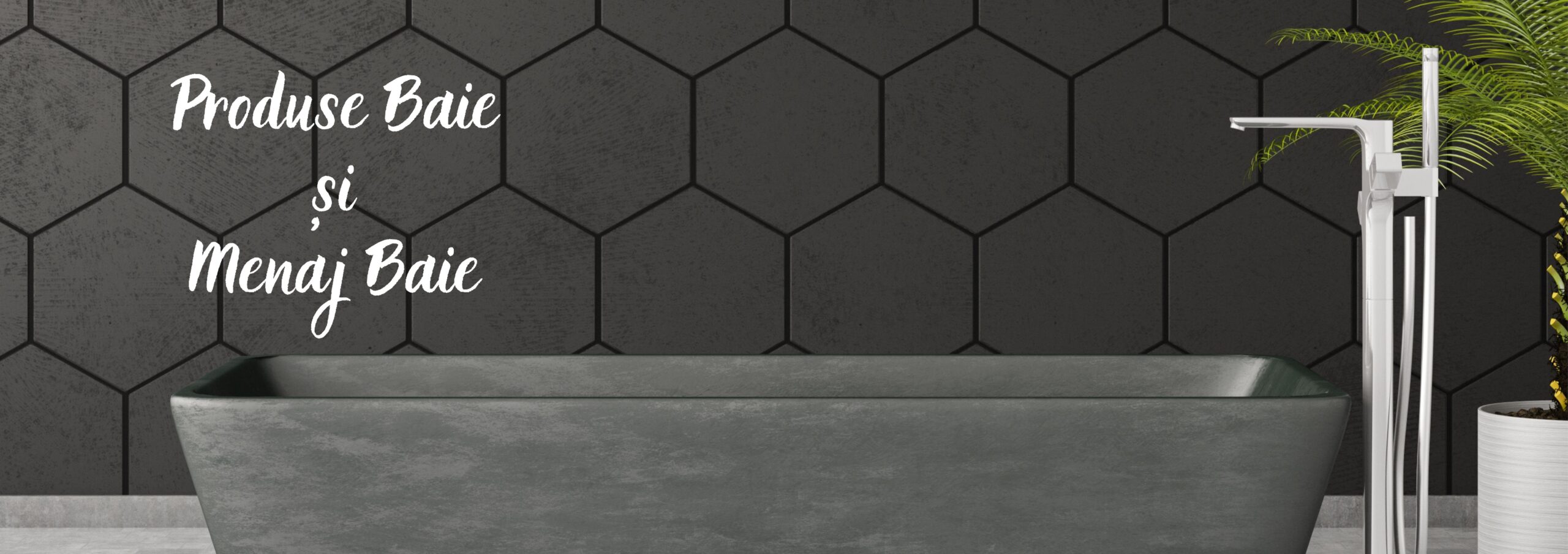 Deodorante si ingrijire personală (6)