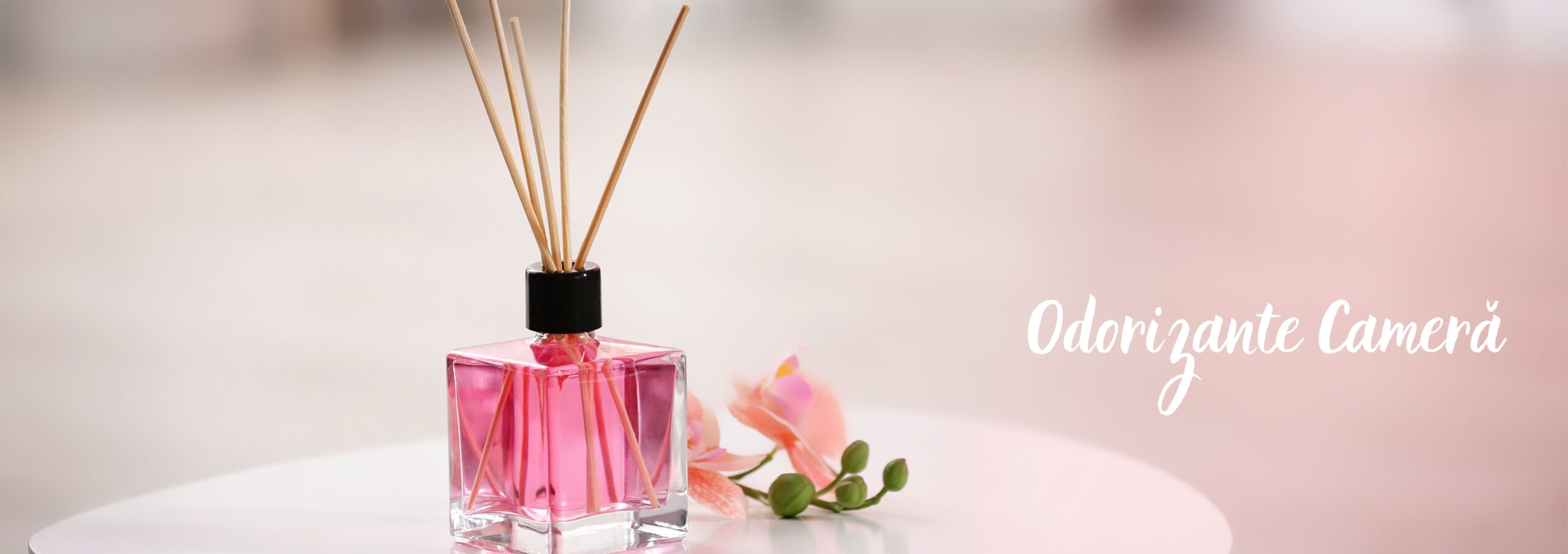 Deodorante si ingrijire personală (7)